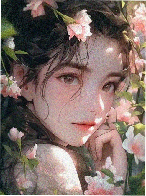北极光行动